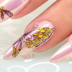 Which accessories for nail art stamping?