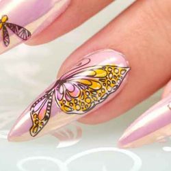 Which accessories for nail art stamping?